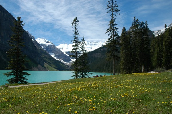 Lake Louise